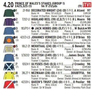 irace form guide|south africa racing form guide.